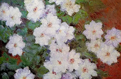 Weiße Clematis Claude Monet